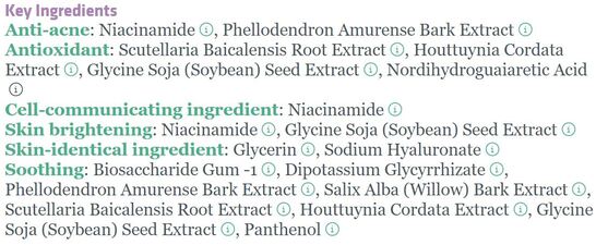 The Raw Niacinamide 5% Serum Ingredients List